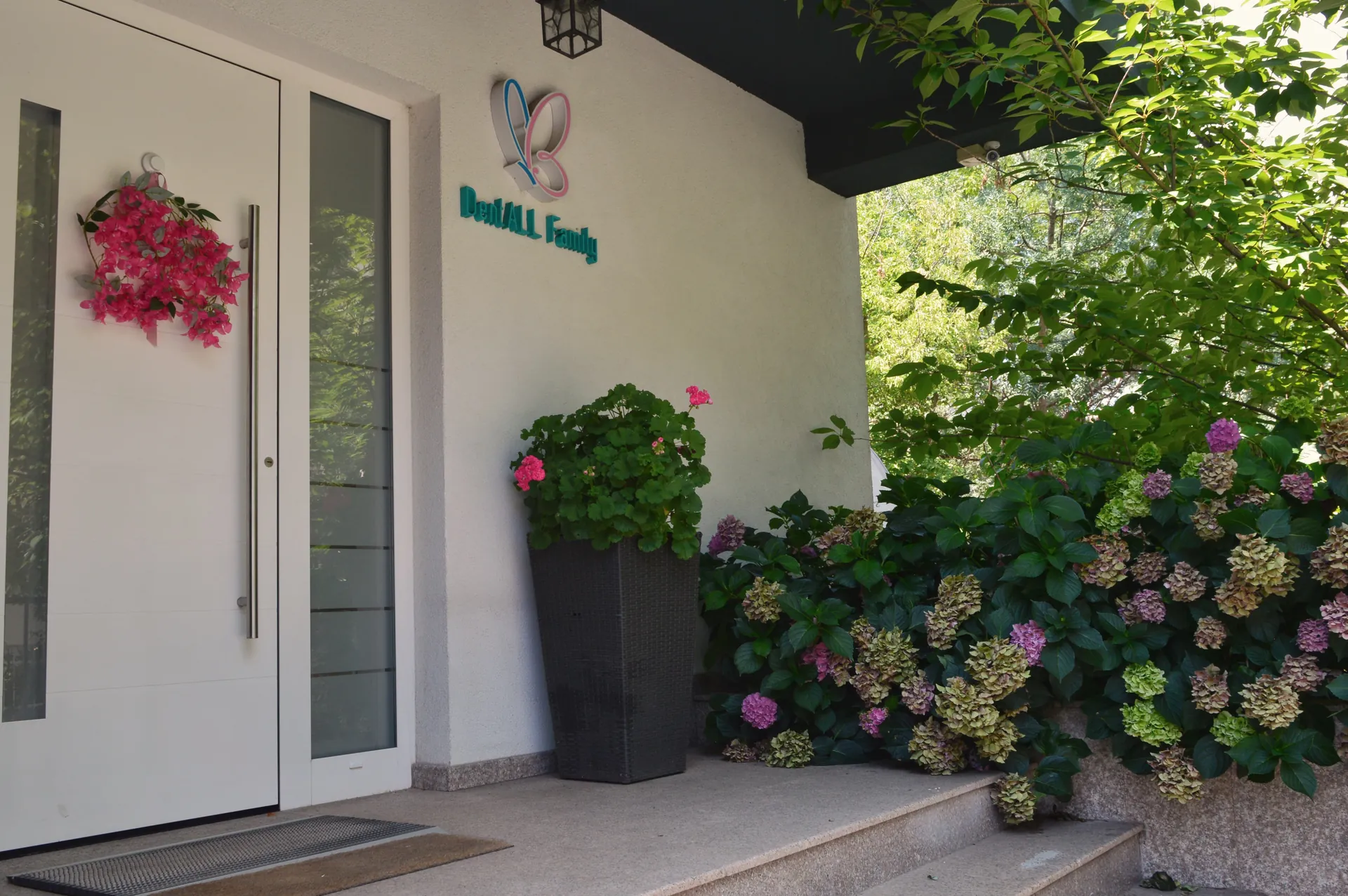 BUTE DENTALL CLINIC